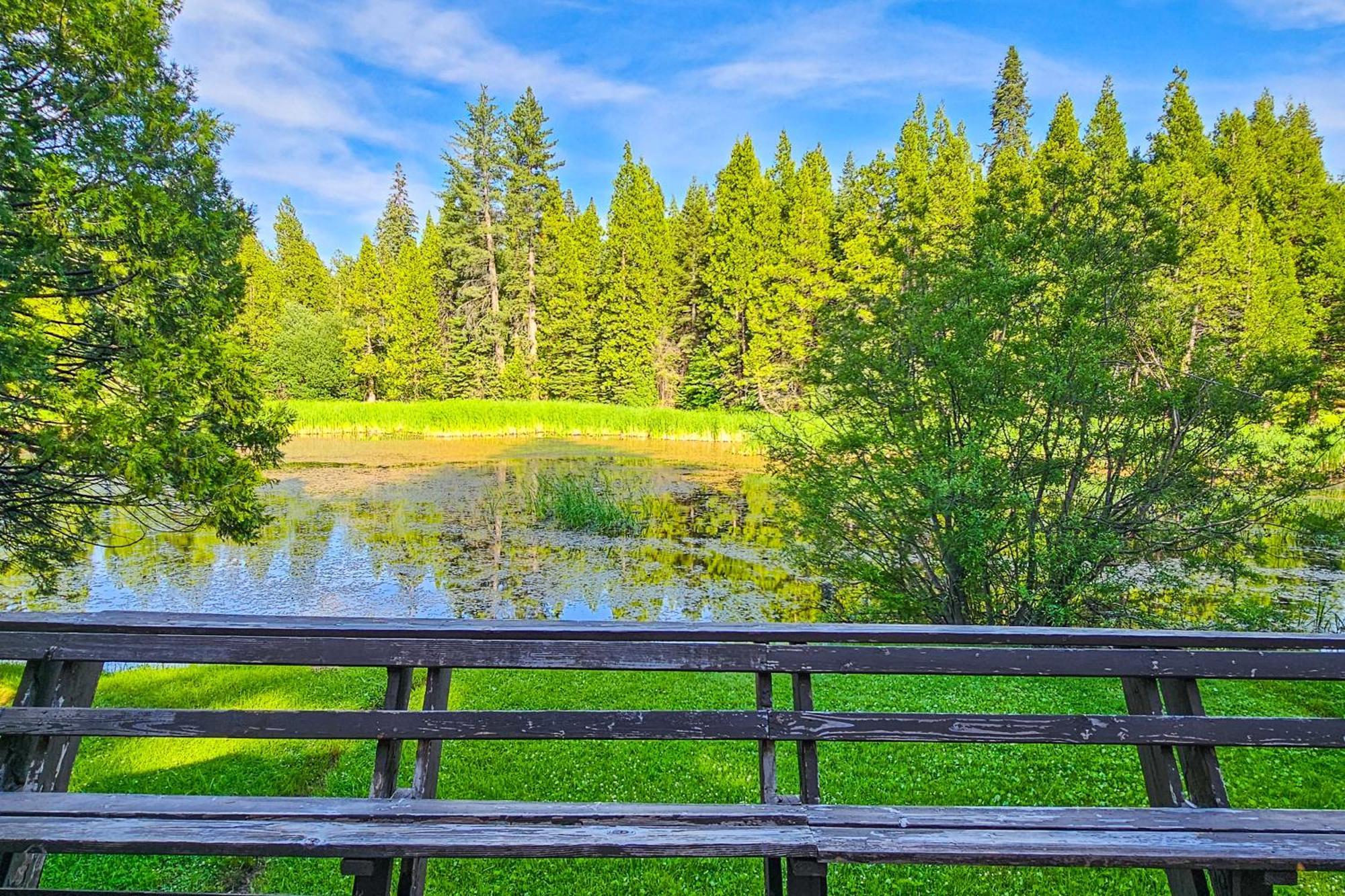 Water'S Edge Retreat Villa Shaver Lake Dış mekan fotoğraf