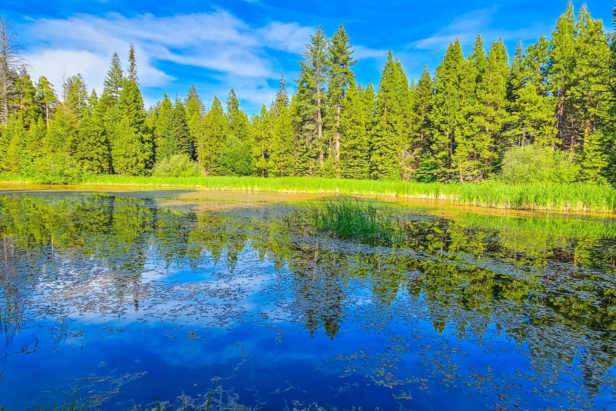 Water'S Edge Retreat Villa Shaver Lake Dış mekan fotoğraf